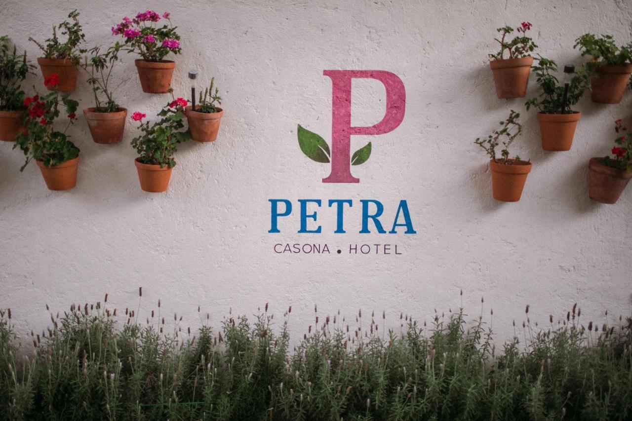 Hotel Petra 圣米格尔－德阿连德 外观 照片