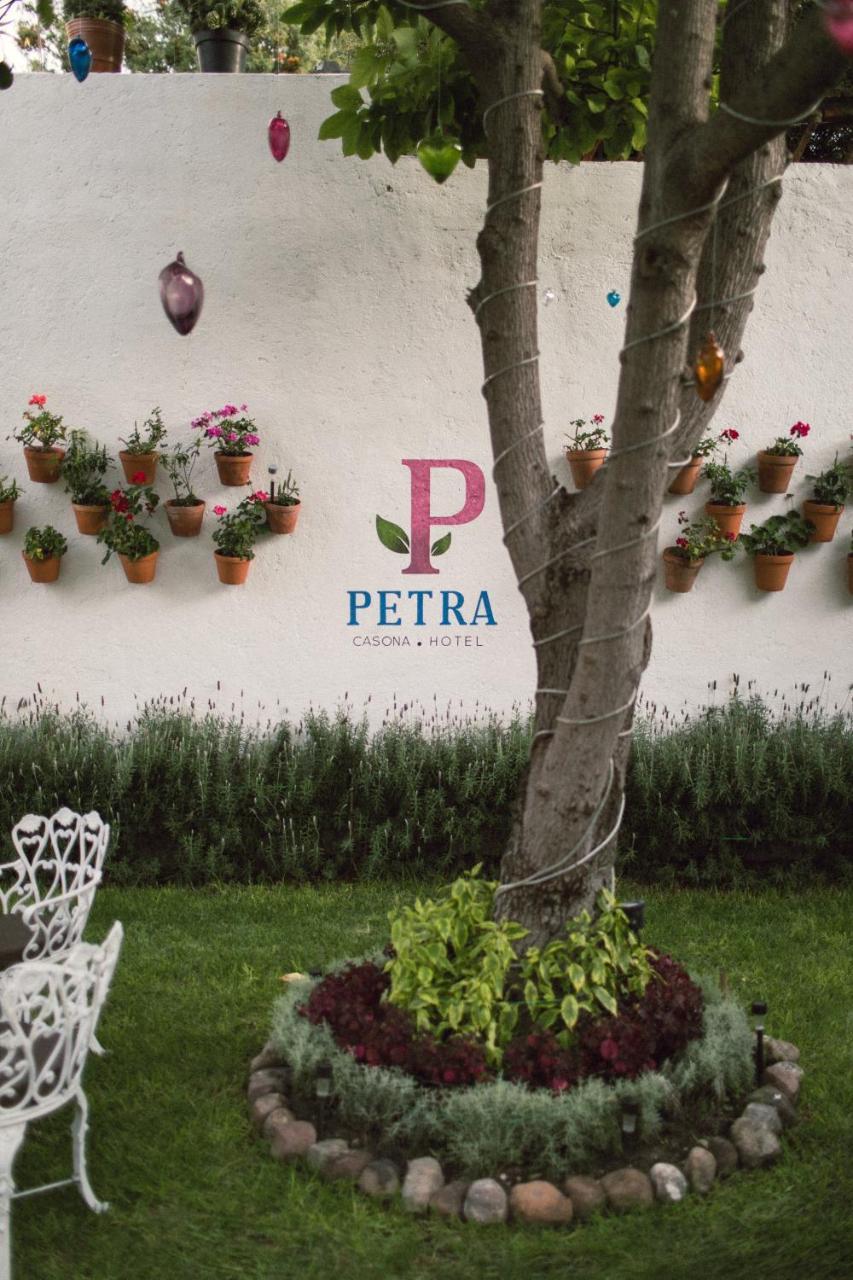 Hotel Petra 圣米格尔－德阿连德 外观 照片