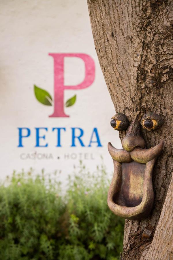 Hotel Petra 圣米格尔－德阿连德 外观 照片