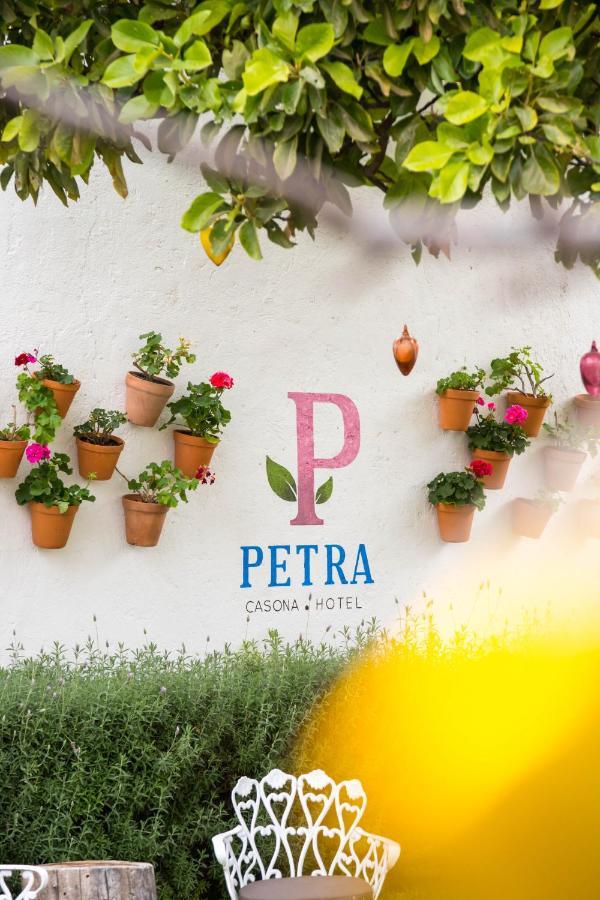 Hotel Petra 圣米格尔－德阿连德 外观 照片